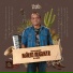 Acústico Imaginar, Mário Augusto