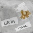 CA1M
