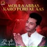 Zakir Ali Abbas Musawar