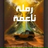 Mohamed El Sokkary