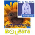Bolzara
