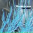 Shewasasea
