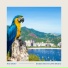 Bossa Nova Cafe Music