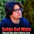 Saida Gul Wafa