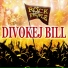 Divokej Bill
