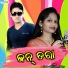 Prashant Bhoi, Swarupa Acharya