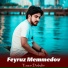 Feyruz Məmmədov