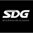 Grupo Secuencia de Guasave