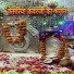 Virdharam Kumawat