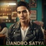 Liandro Satya