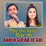 Zahid Gull Buledi, Nida Ali