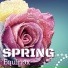 Spring Juice