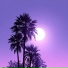 ChillCoast