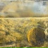 Paul Myhre