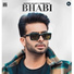 Mankirt Aulakh feat. Shree Brar