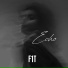 F1T