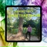 Ashish Dev