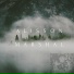 Alisson Marshal