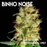 Binho Noise