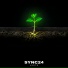 Sync24