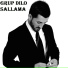 Grup Dılo