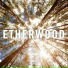 Etherwood feat. Rocky Nti