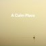 Calm Music, Calm Music for Studying