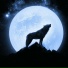 Wolf Sounds