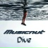 Musicnut