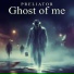 Preliator