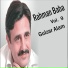 Gulzar Alam