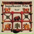 Jugalbandi Trio