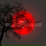 Eight O feat. J Swey, Azide