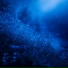Unknown Melodiez, oversyncing