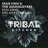Sean Finn, The Soundlovers