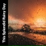 Rainfall Meditations