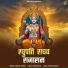 Pragati Pareek