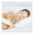 Deep Sleep Music