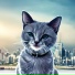 Greycat