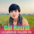 Gul Hasrat