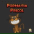 Formatia Pricol