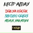 Necip Albay