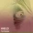 MiNDLEX