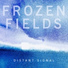 Frozen Fields