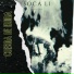 Soca Li