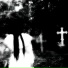 slixshøt x justforgetme x rezadead