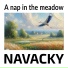 Navacky