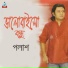 Palash