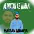 Hassan Muavia