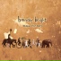 barnaby bright